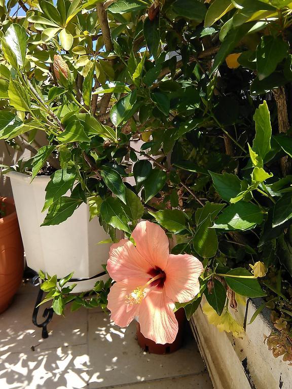 Nikita Traditional House Villa Chania  Rum bild