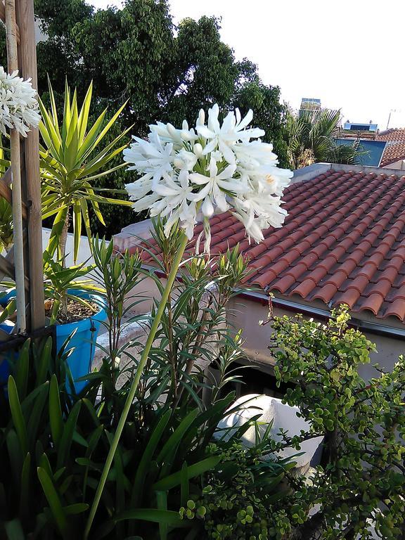 Nikita Traditional House Villa Chania  Rum bild